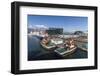 A View of the Harbour in Reykjavik, Iceland, Polar Regions-Michael Nolan-Framed Photographic Print