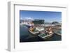 A View of the Harbour in Reykjavik, Iceland, Polar Regions-Michael Nolan-Framed Photographic Print