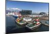 A View of the Harbour in Reykjavik, Iceland, Polar Regions-Michael Nolan-Mounted Photographic Print