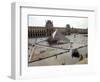 A View of the Louvre Pyramid, and the Southern Wing of the Louvre Building-null-Framed Photographic Print