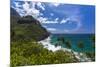 A View of the Na Pali Coast from the Kalalau Trail-Andrew Shoemaker-Mounted Photographic Print