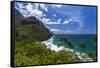 A View of the Na Pali Coast from the Kalalau Trail-Andrew Shoemaker-Framed Stretched Canvas