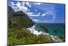 A View of the Na Pali Coast from the Kalalau Trail-Andrew Shoemaker-Mounted Photographic Print