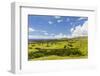 A View of the Outskirts of Hanga Roa, Rapa Nui National Park, Easter Island (Isla De Pascua)-Michael Nolan-Framed Photographic Print