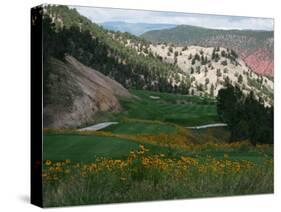 a View of the Picturesque Par-5 13th Hole at Ironbridge Golf Club-John Marshall-Stretched Canvas