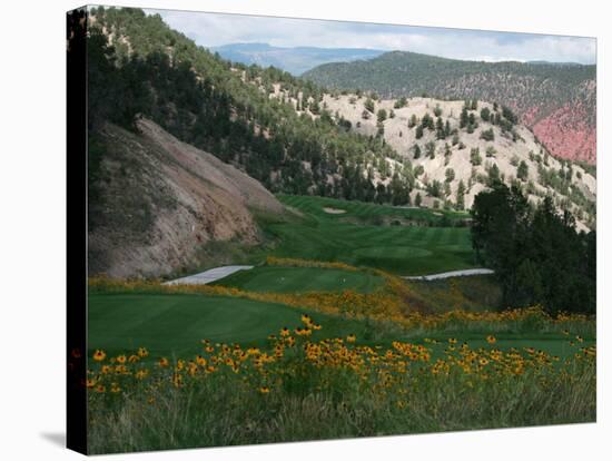 a View of the Picturesque Par-5 13th Hole at Ironbridge Golf Club-John Marshall-Stretched Canvas