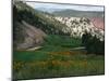 a View of the Picturesque Par-5 13th Hole at Ironbridge Golf Club-John Marshall-Mounted Premium Photographic Print