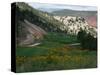 a View of the Picturesque Par-5 13th Hole at Ironbridge Golf Club-John Marshall-Stretched Canvas