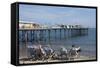 A View of the Pier, Teignmouth, Devon, England, United Kingdom, Europe-James Emmerson-Framed Stretched Canvas