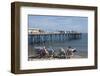 A View of the Pier, Teignmouth, Devon, England, United Kingdom, Europe-James Emmerson-Framed Photographic Print