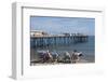 A View of the Pier, Teignmouth, Devon, England, United Kingdom, Europe-James Emmerson-Framed Photographic Print