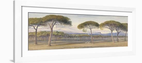 A View of the Pine Woods Above Cannes, 1869-Edward Lear-Framed Giclee Print