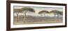 A View of the Pine Woods Above Cannes, 1869-Edward Lear-Framed Giclee Print