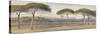 A View of the Pine Woods Above Cannes, 1869-Edward Lear-Stretched Canvas