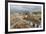 A view of the Plaza Mayor, Trinidad, UNESCO World Heritage Site, Cuba, West Indies, Caribbean, Cent-Michael Nolan-Framed Photographic Print