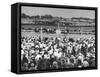 A View of the Preakness Dog Race on the Pimlico Race Tracks-null-Framed Stretched Canvas