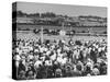 A View of the Preakness Dog Race on the Pimlico Race Tracks-null-Stretched Canvas