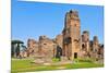 A View of the Remains of the Baths of Caracalla in Rome, Italy-nito-Mounted Premium Photographic Print