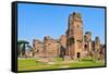 A View of the Remains of the Baths of Caracalla in Rome, Italy-nito-Framed Stretched Canvas