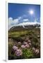 A View of the Stratovolcano Snaefellsjokull, Snaefellsnes National Park, Snaefellsnes Peninsula-Michael Nolan-Framed Photographic Print