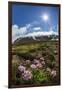 A View of the Stratovolcano Snaefellsjokull, Snaefellsnes National Park, Snaefellsnes Peninsula-Michael Nolan-Framed Photographic Print