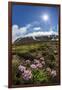 A View of the Stratovolcano Snaefellsjokull, Snaefellsnes National Park, Snaefellsnes Peninsula-Michael Nolan-Framed Photographic Print