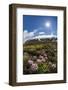 A View of the Stratovolcano Snaefellsjokull, Snaefellsnes National Park, Snaefellsnes Peninsula-Michael Nolan-Framed Photographic Print