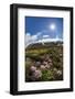 A View of the Stratovolcano Snaefellsjokull, Snaefellsnes National Park, Snaefellsnes Peninsula-Michael Nolan-Framed Photographic Print