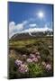 A View of the Stratovolcano Snaefellsjokull, Snaefellsnes National Park, Snaefellsnes Peninsula-Michael Nolan-Mounted Photographic Print