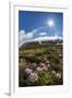 A View of the Stratovolcano Snaefellsjokull, Snaefellsnes National Park, Snaefellsnes Peninsula-Michael Nolan-Framed Photographic Print