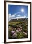 A View of the Stratovolcano Snaefellsjokull, Snaefellsnes National Park, Snaefellsnes Peninsula-Michael Nolan-Framed Photographic Print