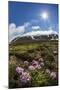 A View of the Stratovolcano Snaefellsjokull, Snaefellsnes National Park, Snaefellsnes Peninsula-Michael Nolan-Mounted Photographic Print