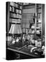 A View of the Surface of Thomas Mann's Working Desk, in His Princeton Home-Hansel Mieth-Stretched Canvas