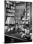 A View of the Surface of Thomas Mann's Working Desk, in His Princeton Home-Hansel Mieth-Mounted Premium Photographic Print