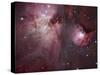 A View of the Trapezium Region, Which Lies in the Heart of the Orion Nebula-Stocktrek Images-Stretched Canvas