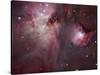 A View of the Trapezium Region, Which Lies in the Heart of the Orion Nebula-Stocktrek Images-Stretched Canvas