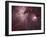 A View of the Trapezium Region, Which Lies in the Heart of the Orion Nebula-Stocktrek Images-Framed Photographic Print