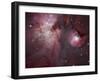 A View of the Trapezium Region, Which Lies in the Heart of the Orion Nebula-Stocktrek Images-Framed Photographic Print