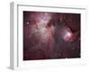 A View of the Trapezium Region, Which Lies in the Heart of the Orion Nebula-Stocktrek Images-Framed Photographic Print