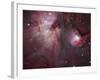 A View of the Trapezium Region, Which Lies in the Heart of the Orion Nebula-Stocktrek Images-Framed Photographic Print