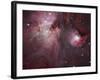 A View of the Trapezium Region, Which Lies in the Heart of the Orion Nebula-Stocktrek Images-Framed Photographic Print