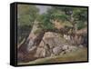 A View of the Valley of Rocks near Mittlach-James Arthur O'Connor-Framed Stretched Canvas