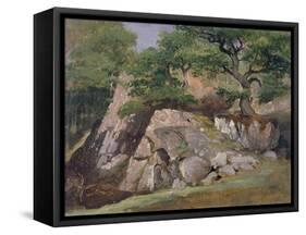 A View of the Valley of Rocks near Mittlach-James Arthur O'Connor-Framed Stretched Canvas