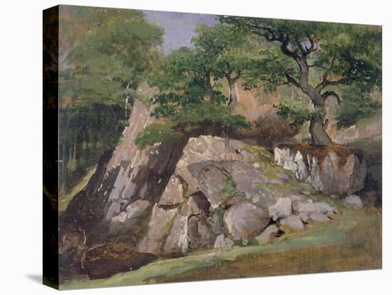 A View of the Valley of Rocks near Mittlach-James Arthur O'Connor-Stretched Canvas