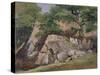 A View of the Valley of Rocks near Mittlach-James Arthur O'Connor-Stretched Canvas