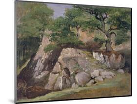 A View of the Valley of Rocks near Mittlach-James Arthur O'Connor-Mounted Giclee Print