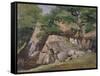 A View of the Valley of Rocks near Mittlach-James Arthur O'Connor-Framed Stretched Canvas