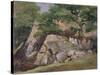 A View of the Valley of Rocks near Mittlach-James Arthur O'Connor-Stretched Canvas