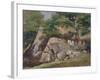 A View of the Valley of Rocks near Mittlach-James Arthur O'Connor-Framed Giclee Print