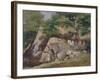 A View of the Valley of Rocks near Mittlach-James Arthur O'Connor-Framed Giclee Print